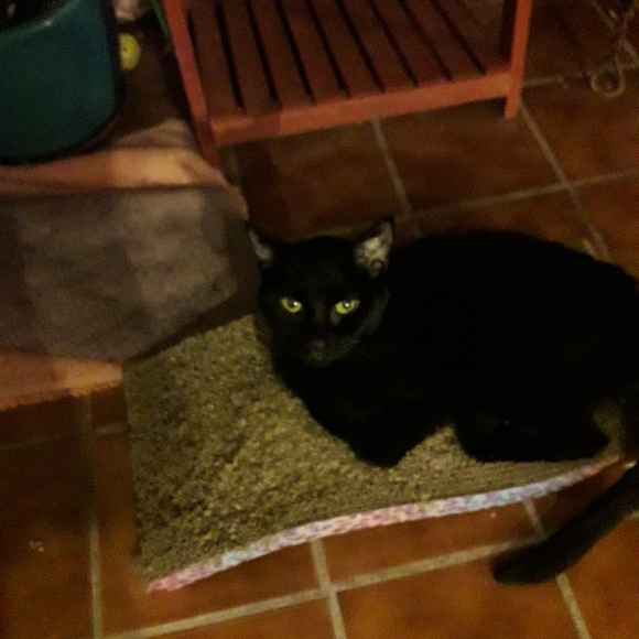 Meet your Posher, Brenda - Picture 5 of 13